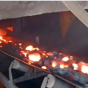 Heat Resistant Conveyor Belt