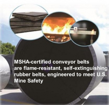 Heat Resistant Conveyor Belt
